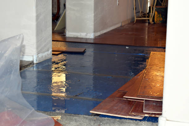 Professional Burst Pipe Cleanup technician working in Dudley, NC