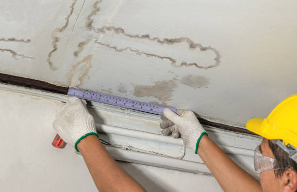 Reliable Burst Pipe Cleanup contractor in Dudley, NC by Water Damage Irwin